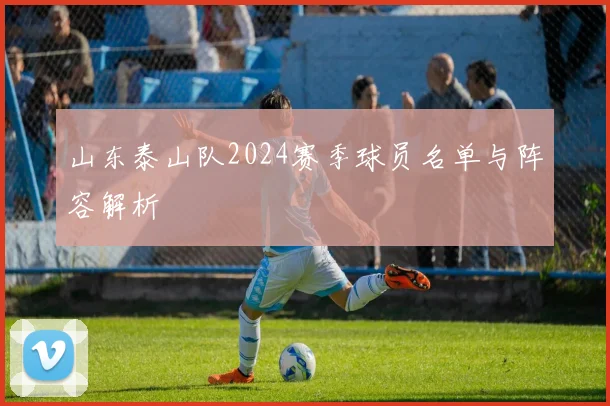 山东泰山队2024赛季球员名单与阵容解析